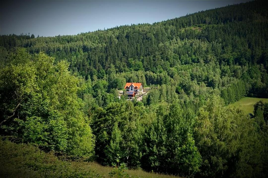 Apartamety i Pokoje Gościnne Na Jaskółczej Swieradow-Zdroj Exterior foto